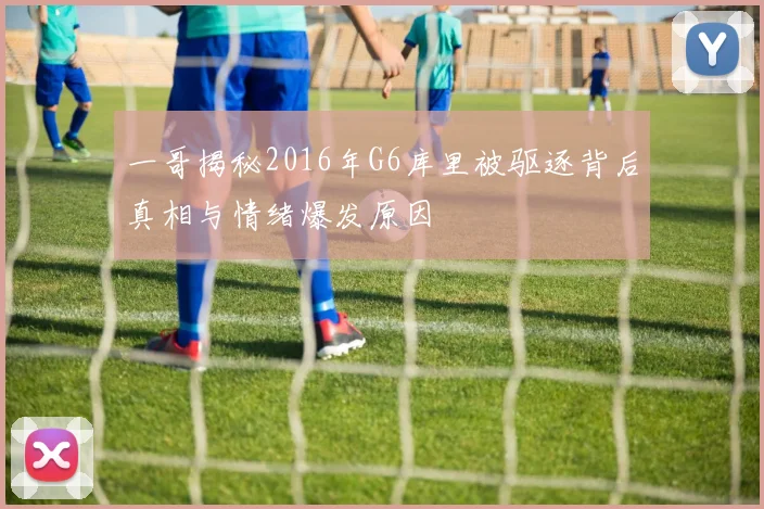 一哥揭秘2016年G6库里被驱逐背后真相与情绪爆发原因