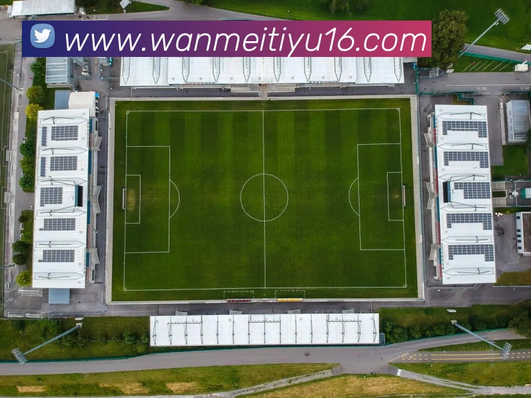 完美体育发展历程